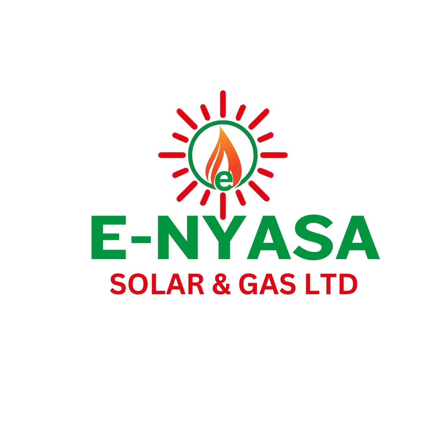E-Nyasa Logo